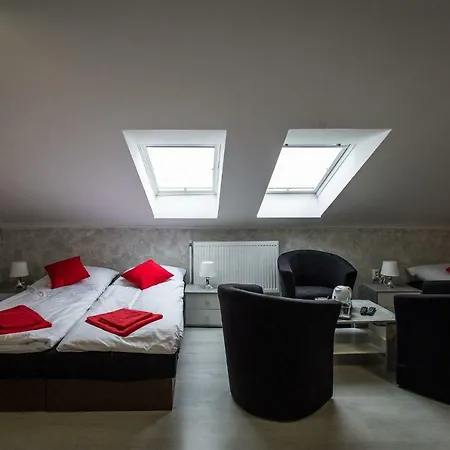 Penzion Bardejov Guest house 3*
